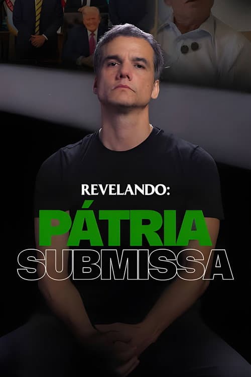 Submissive Homeland poster