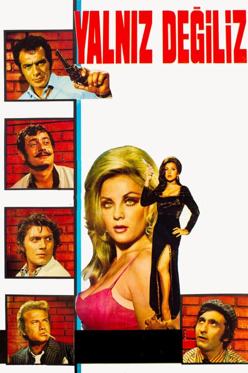 Yalnız Değiliz poster