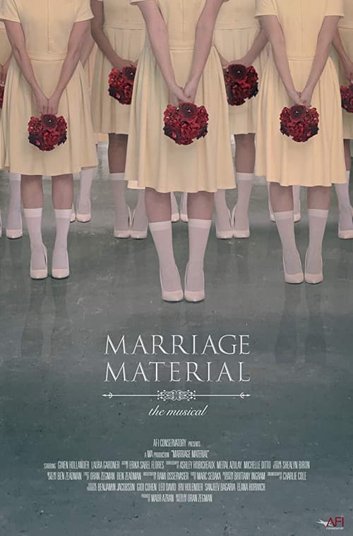 Marriage Material poster