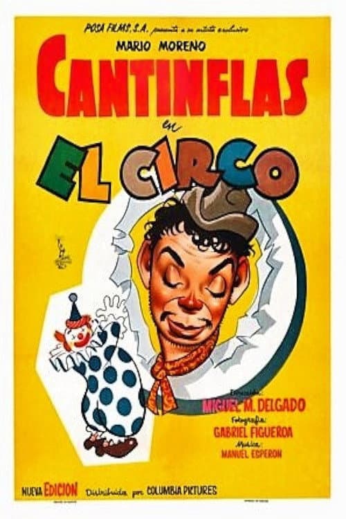 The Circus poster