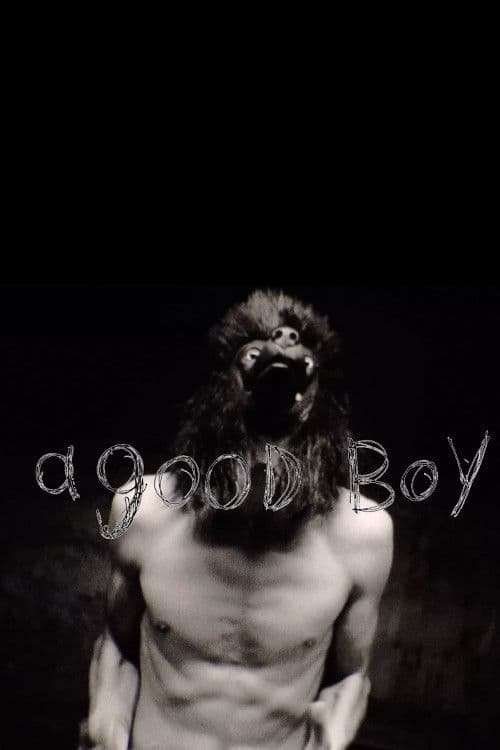 a good boy poster