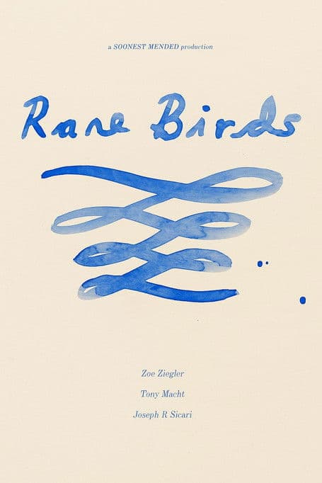 Rare Birds poster