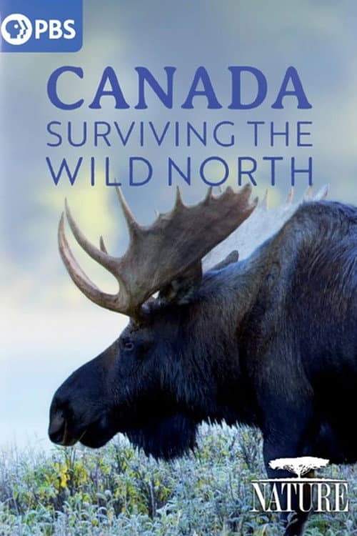 Canada: Surviving the Wild North poster