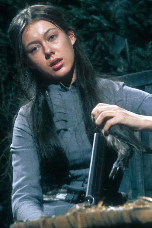 The Wild Duck poster