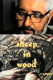 Sheep in Wood poster