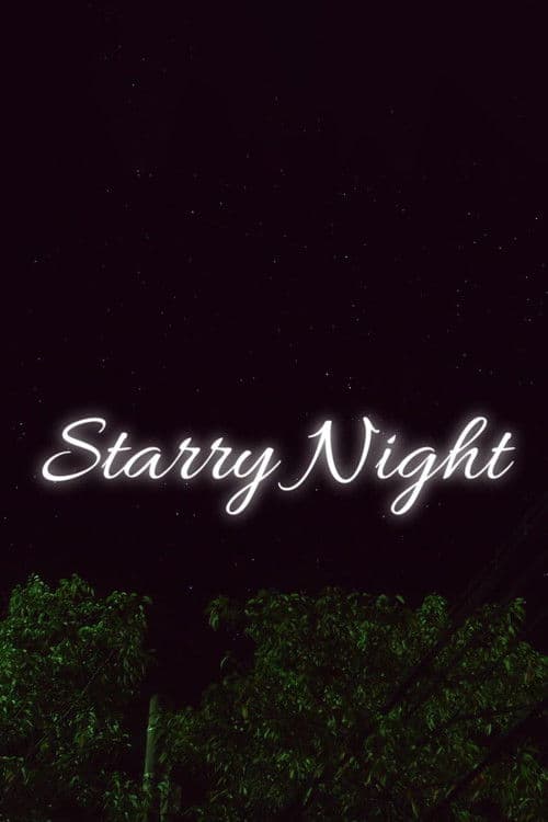 Starry Night poster