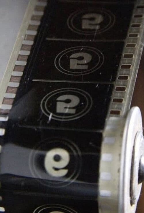 Lapidar o Bruto poster