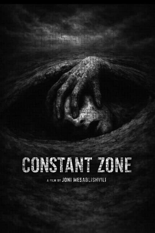 CONSTANT ZONE poster