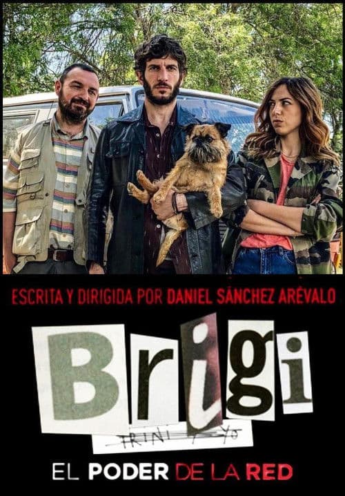 Brigi: El poder de la red poster