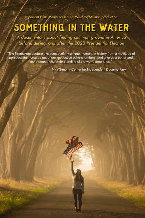 Something in the Water poster