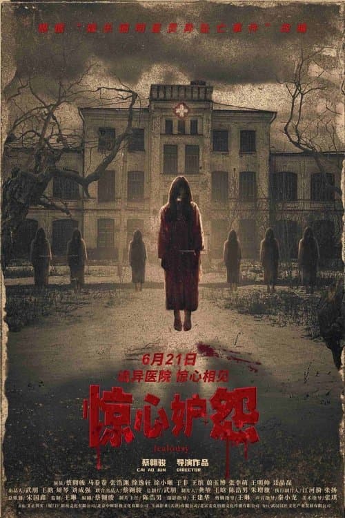 惊心妒怨 poster