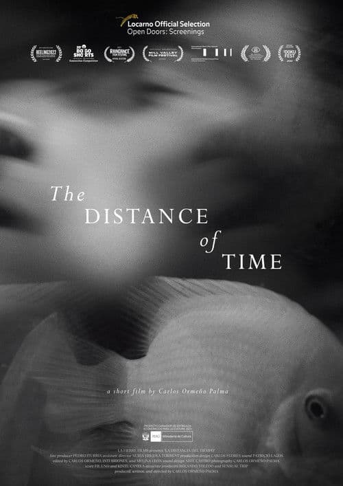 The Distance of Time poster