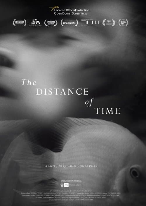 The Distance of Time poster
