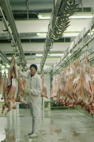 The Butcher's Waltz poster