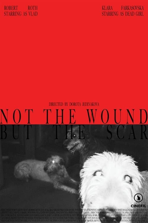 Not the Wound but the Scar poster