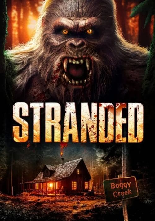 Stranded poster
