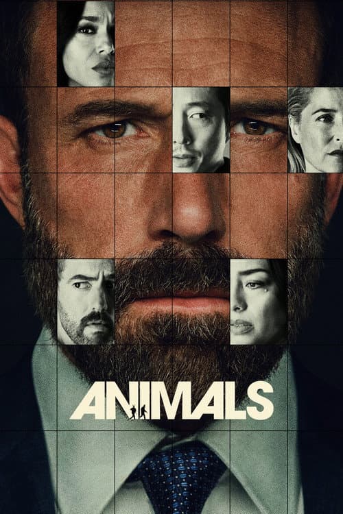 Animals poster