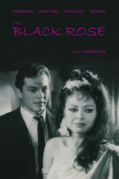 Black Rose poster