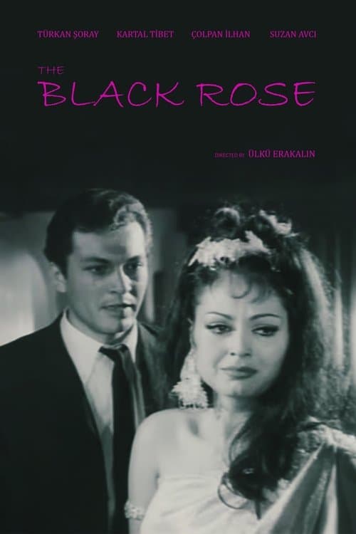 Black Rose poster
