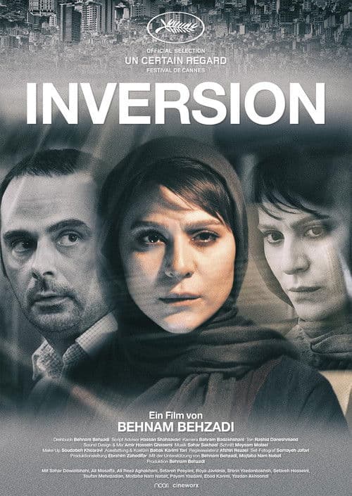 Inversion poster