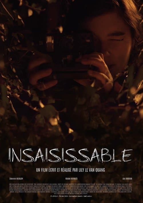Insaisissable poster