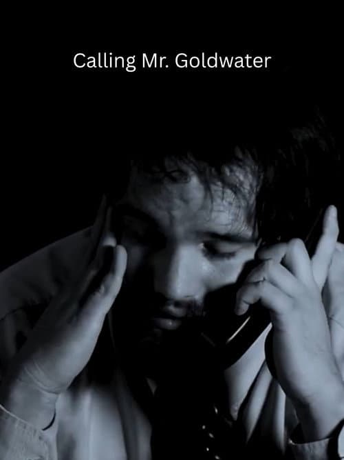 Calling Mr. Goldwater poster