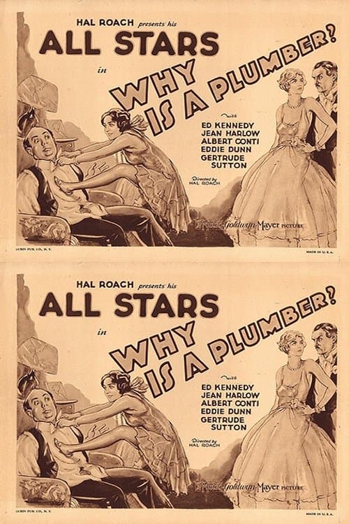 Why Is a Plumber? poster