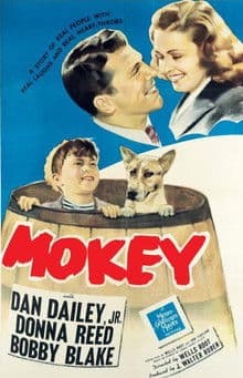 Mokey poster