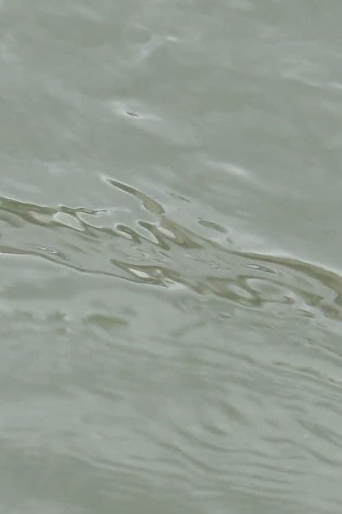 entre les vagues (un hommage) poster