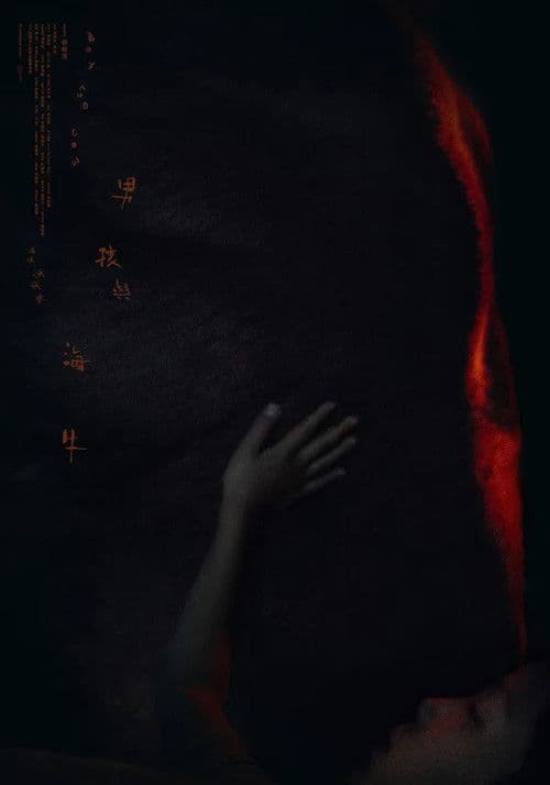 Boy meets Cow poster