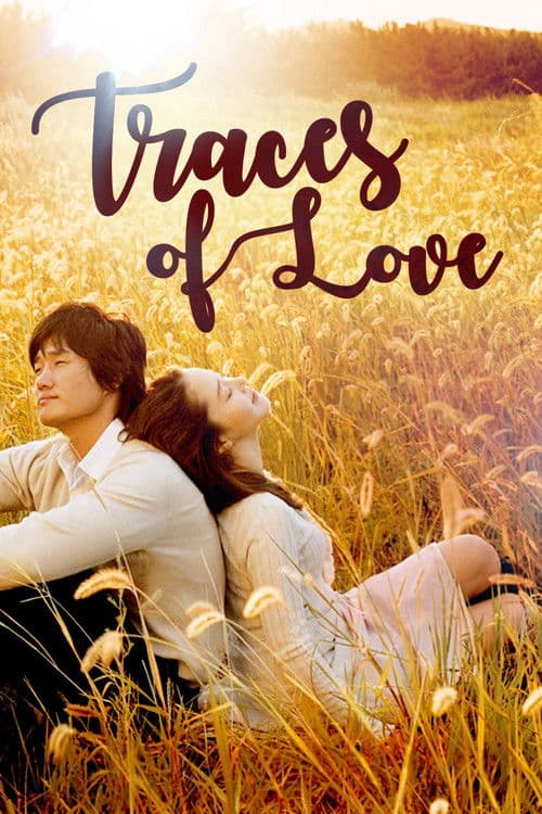 Traces of Love poster