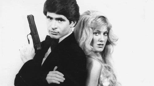 The Spy Who Did It Better poster