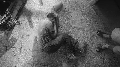 The Project of the Century poster