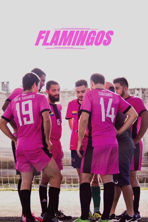 Flamingos poster