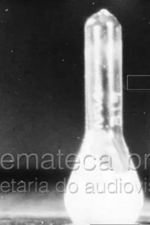 Febre Amarela I poster