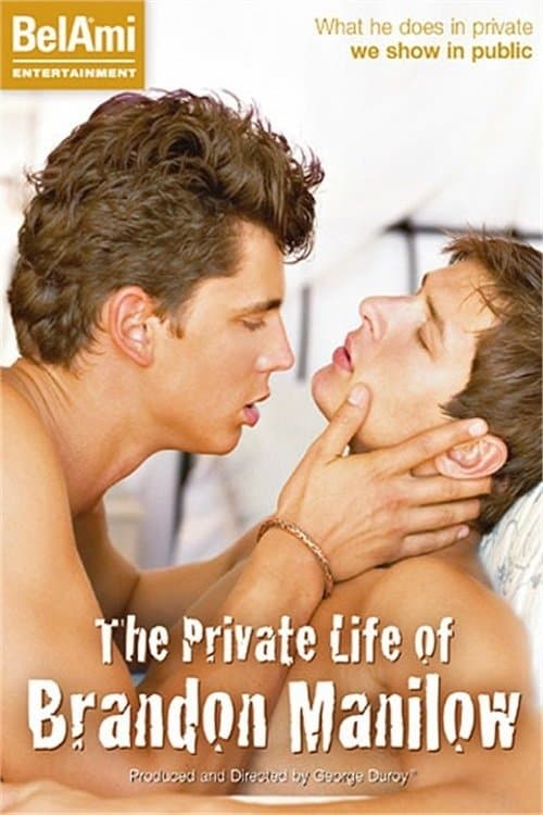 The Private Life of Brandon Manilow poster