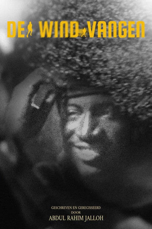 De Wind Vangen poster