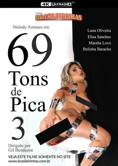 69 Tons de Pica 3 poster