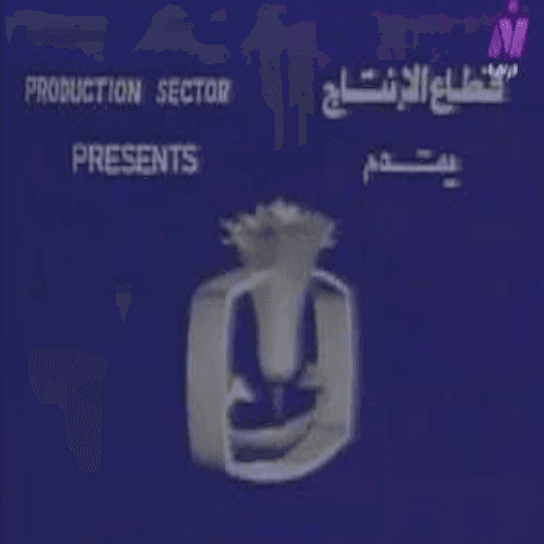 Television of the Arab Republic of Egypt