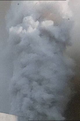 Una lepre con la faccia di bambina poster