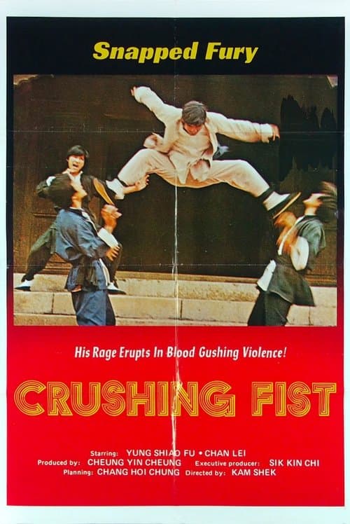 The Great Chinese Boxer poster