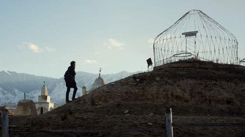 A Father's Will poster