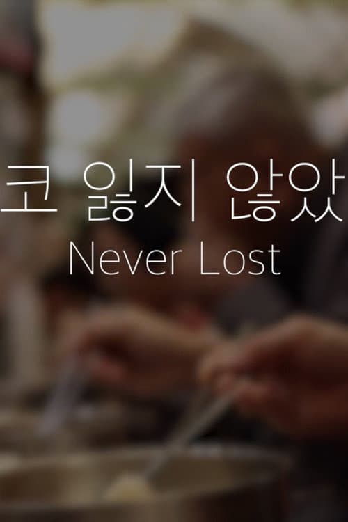 Never Lost (결코 잃지 않았다) poster
