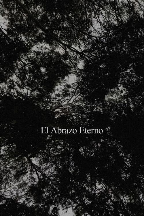 El Abrazo Eterno poster