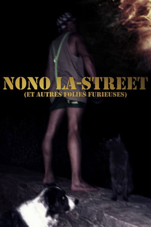 Nono La-Street (et autres folies furieuses) poster