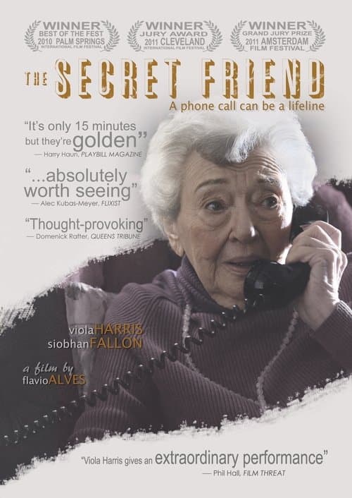 The Secret Friend poster