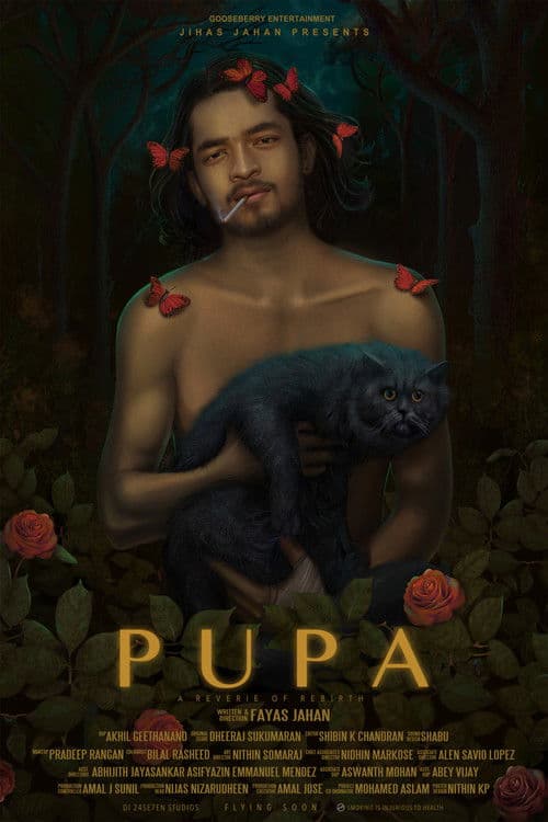 Pupa poster