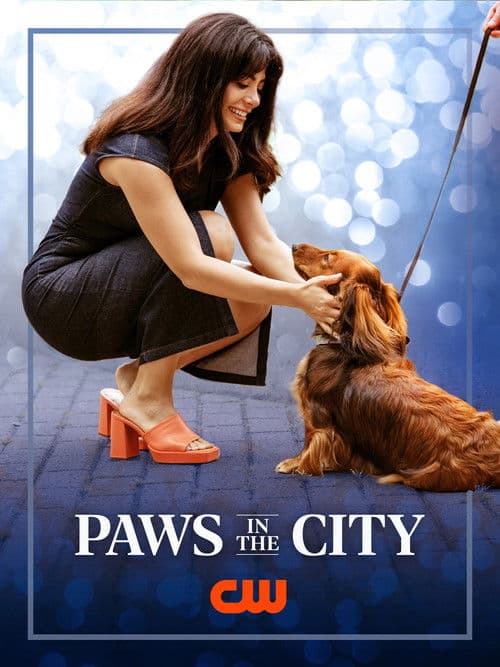 Paws in the City poster