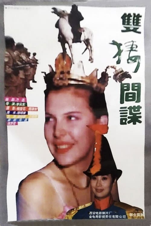 双栖间谍 poster