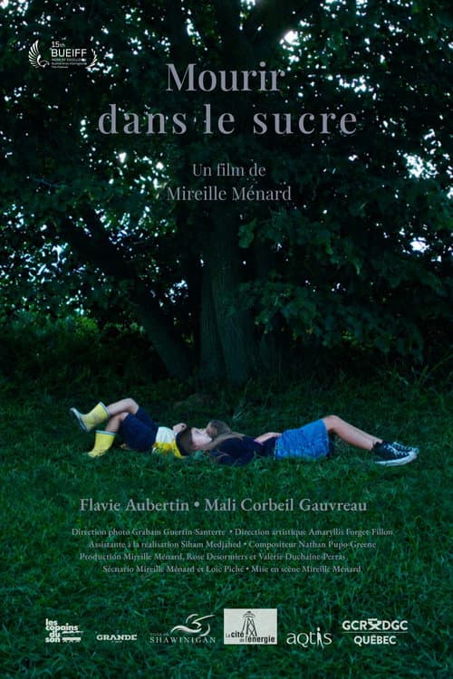 Mourir dans le sucre poster